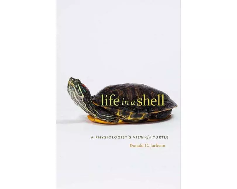 Life in a Shell