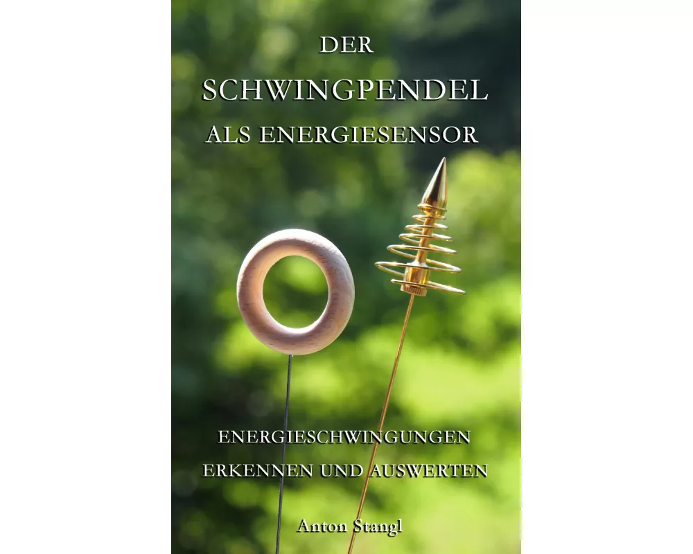 Der Schwingpendel als Energiesensor