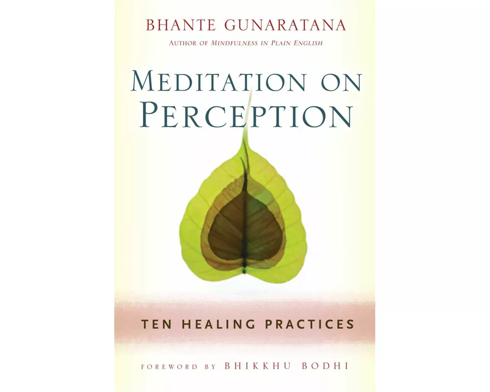 Meditation on Perception