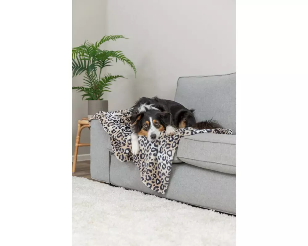 Trixie Decke Leo 150 x 100 cm, creme