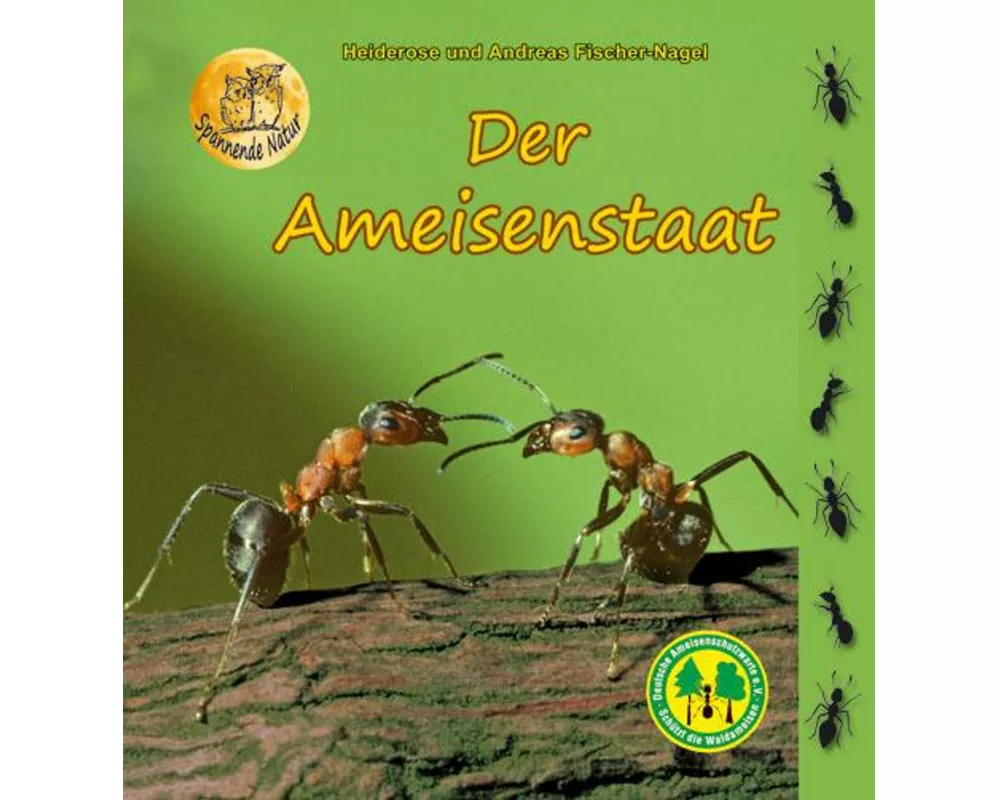 Der Ameisenstaat