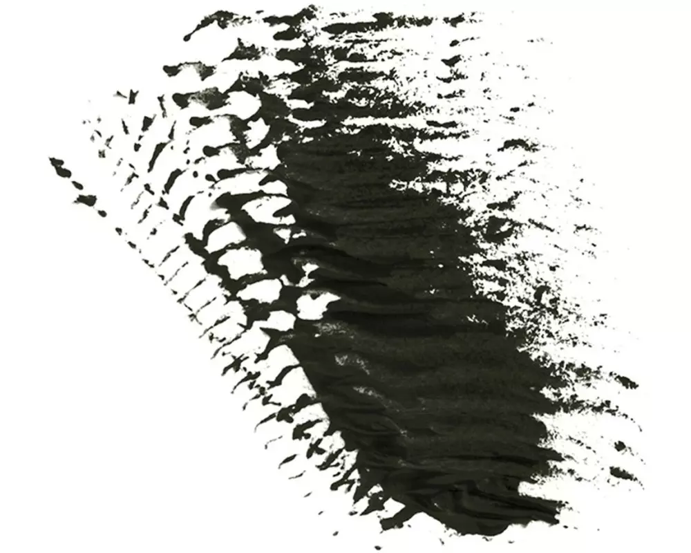 Diego dalla Palma High Performance Mascara Schwarz