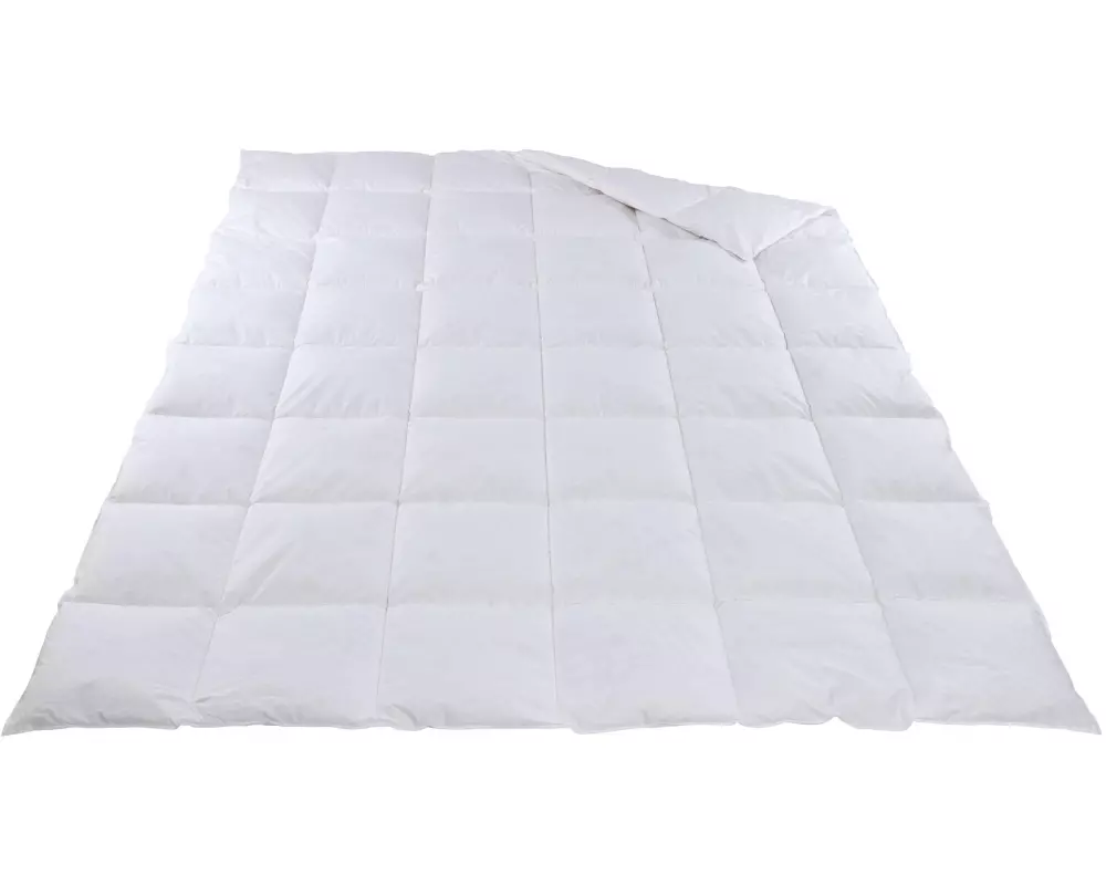 DOR Duvet Organic Ganzjahr Leicht 160 x 210 cm