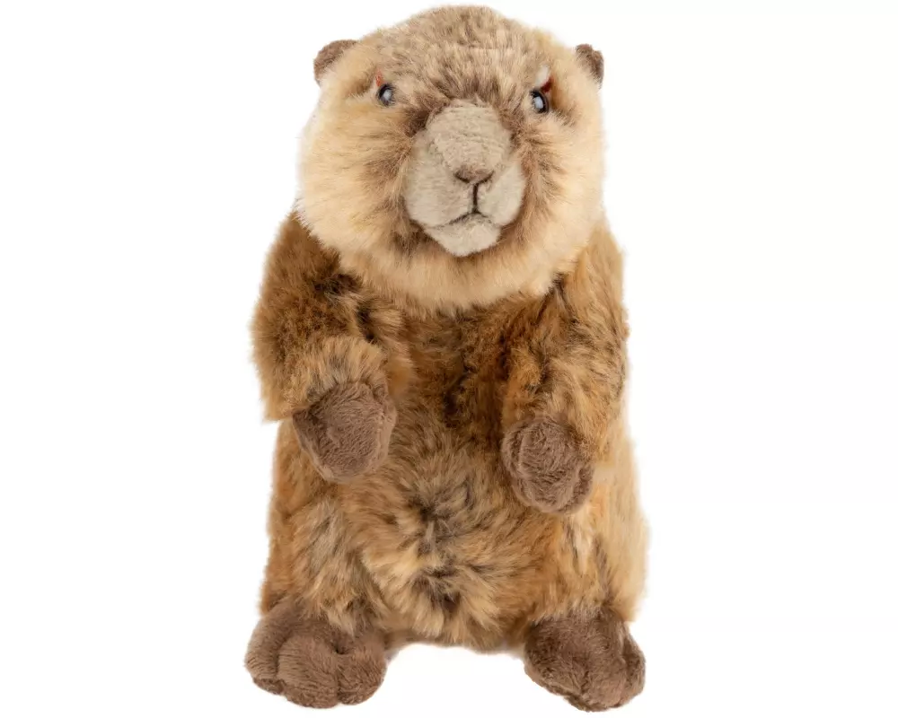 Leo Brummbär Plüsch Murmeltier 17 cm