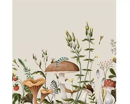 Braun + Company Moonbeam Beige, 20 Stück