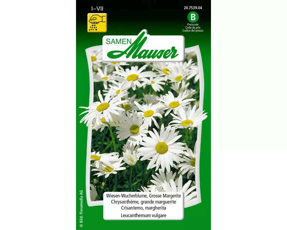 Samen Mauser Saatgut WiesenWucherblume, Grosse Margerite