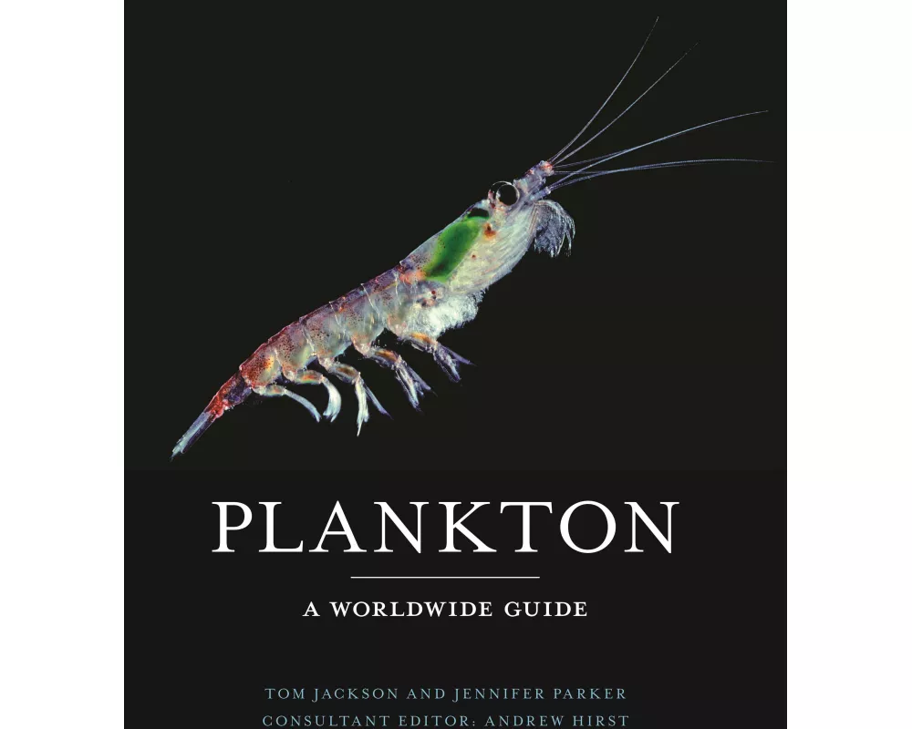 Plankton