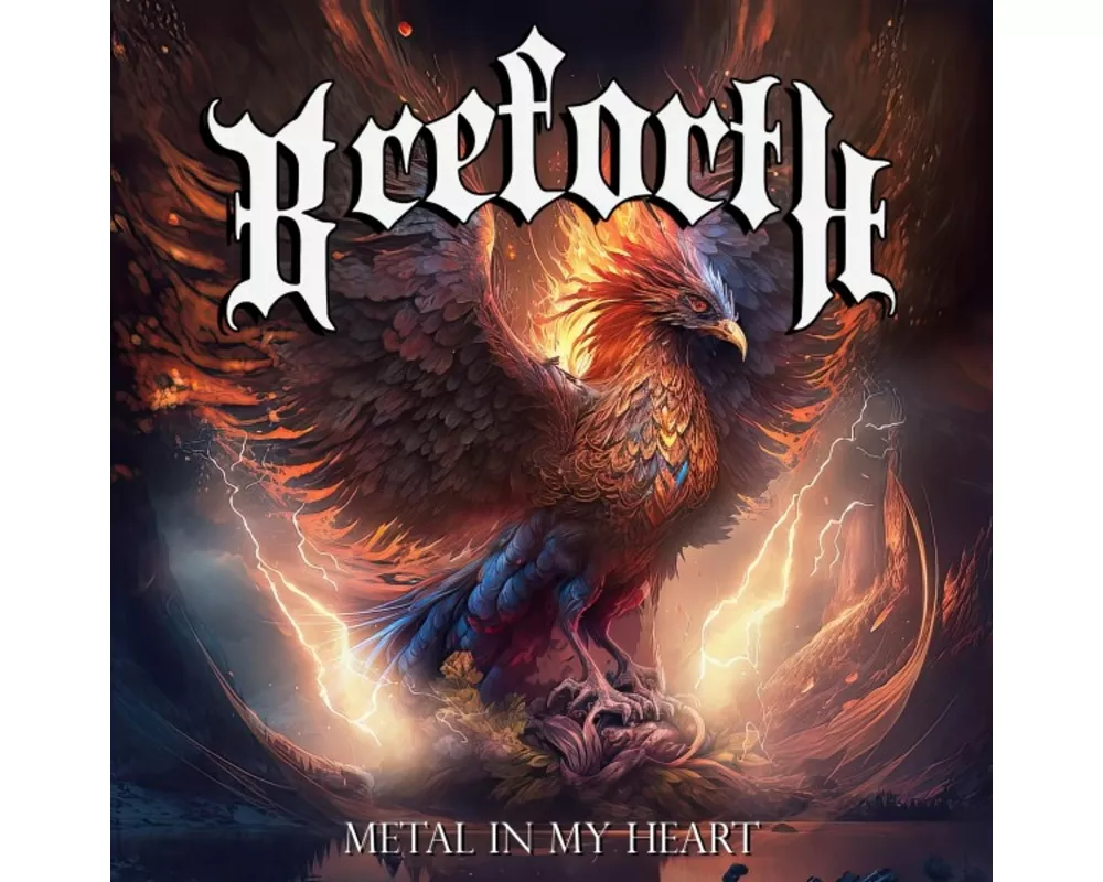 Metal In My Heart