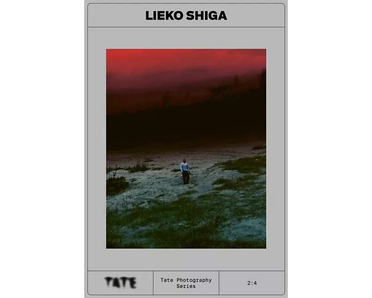 Tate Photography: Lieko Shiga