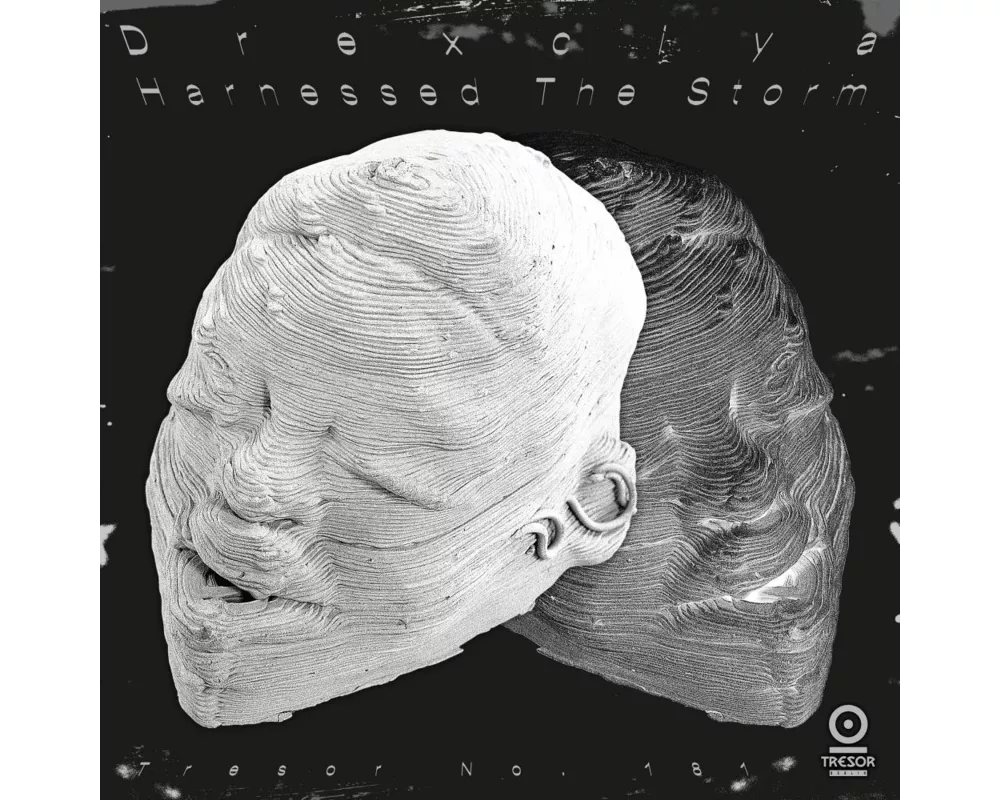 Harnessed The Storm (2022 Re)