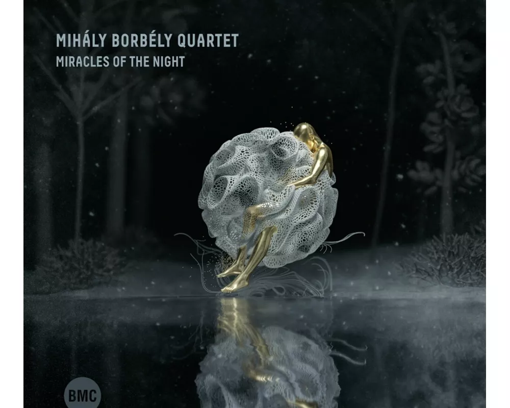 Miracles Of The Night