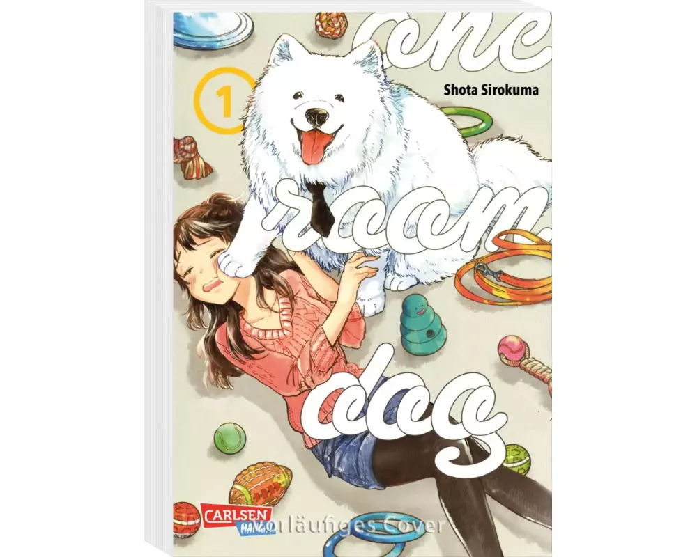 One Room Dog 1