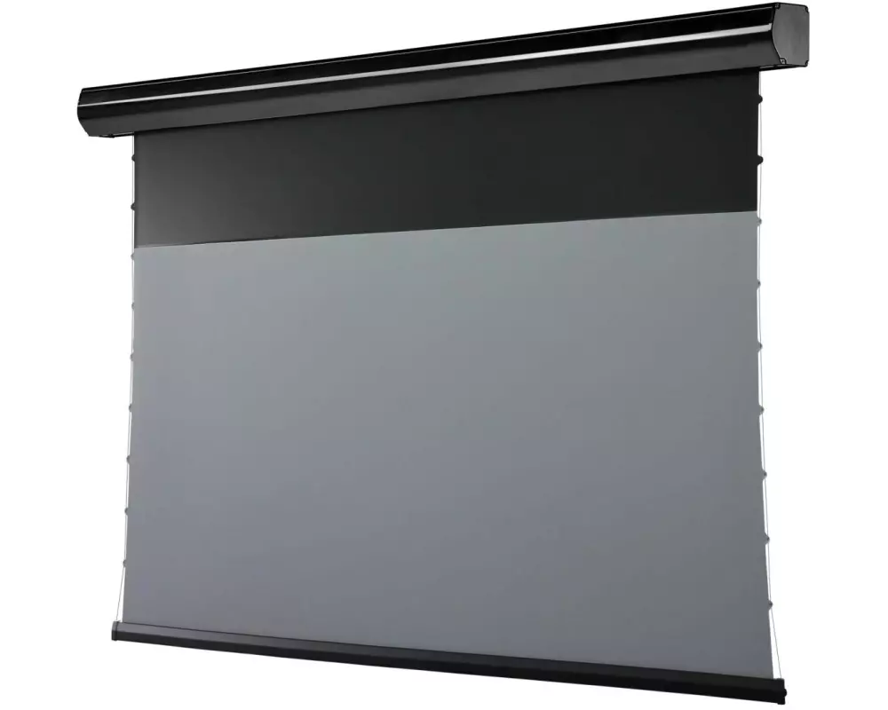 Celexon Motorleinwand HomeCinema Plus Tension 221.4x124.5 cm Schwarz