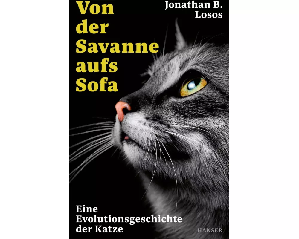 Von der Savanne aufs Sofa