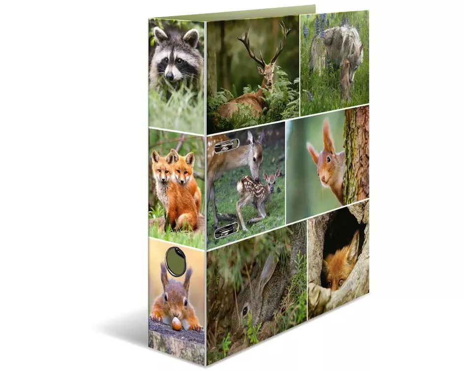 HERMA Ordner Waldtiere 7 cm, Mehrfarbig
