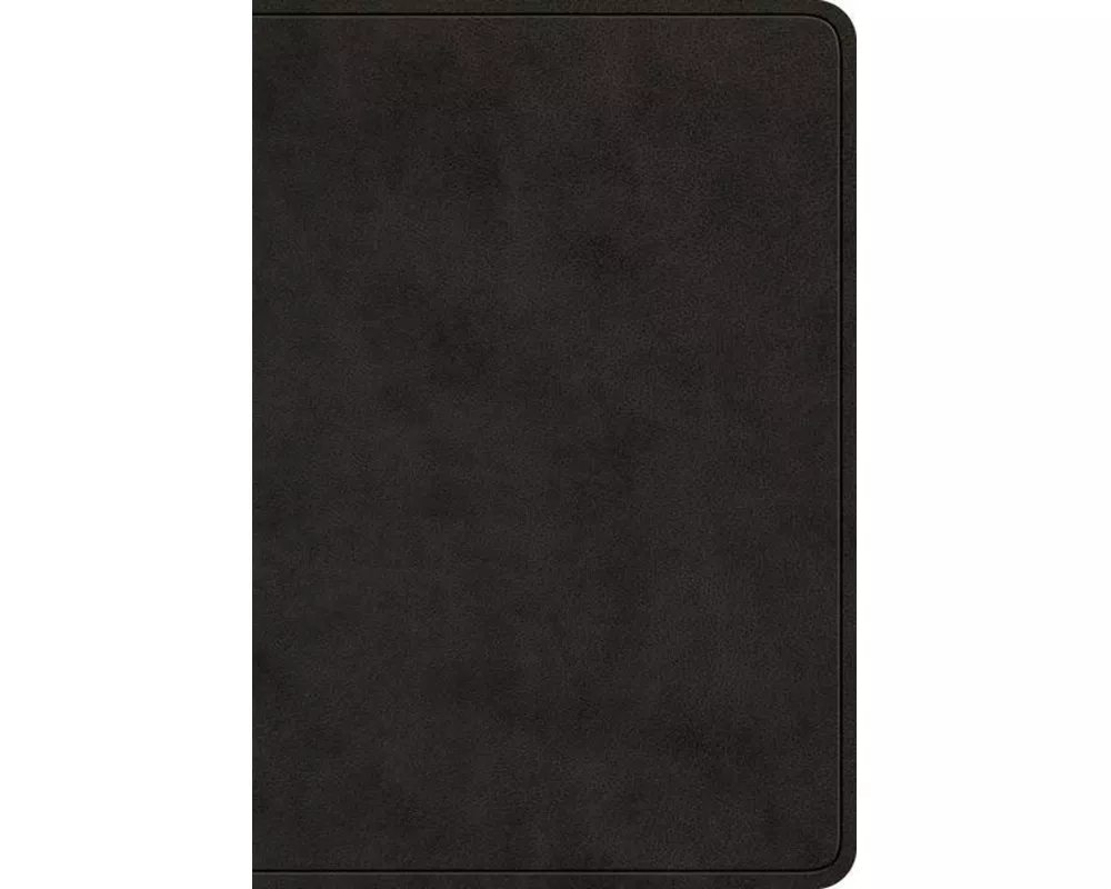ESV Value Large Print Compact Bible