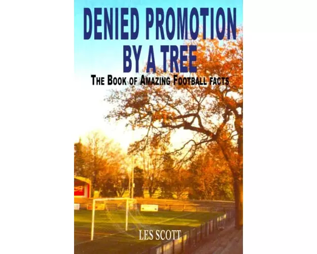 Denied Promotion By A Tree