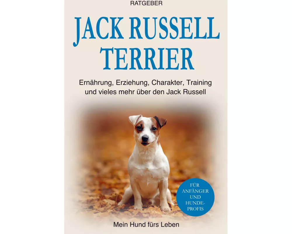 Jack Russell Terrier