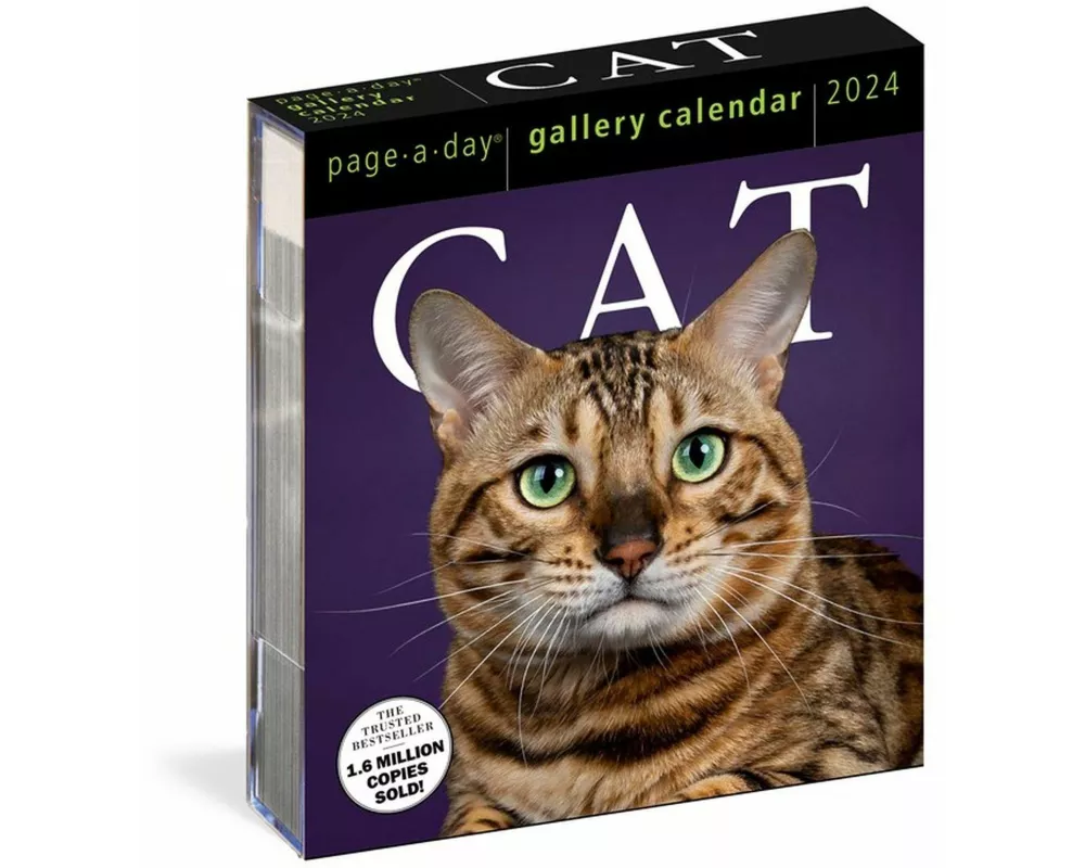 Cat Page-A-Day Gallery Calendar 2024