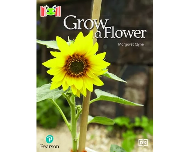 Bug Club Reading Corner: Age 4-7: Grow a Flower