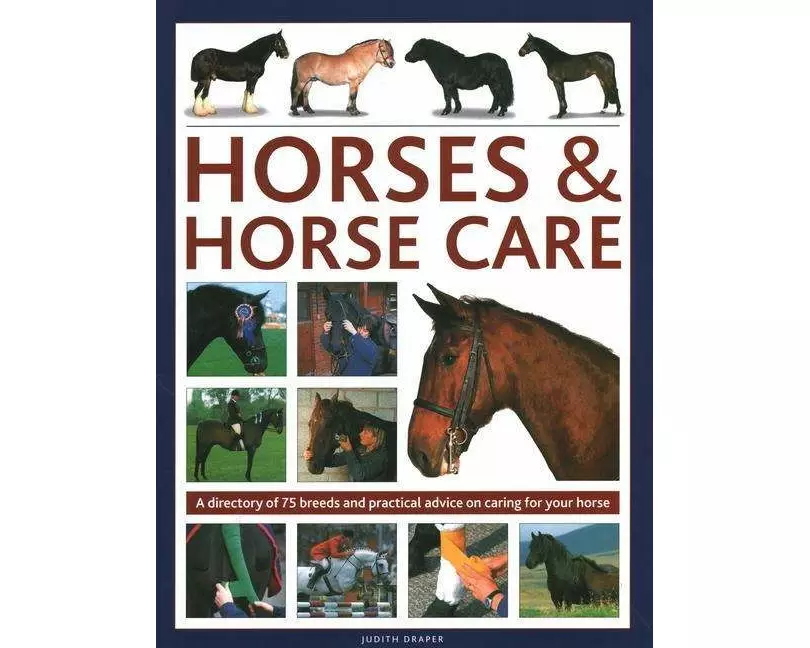 Horses & Horse Care