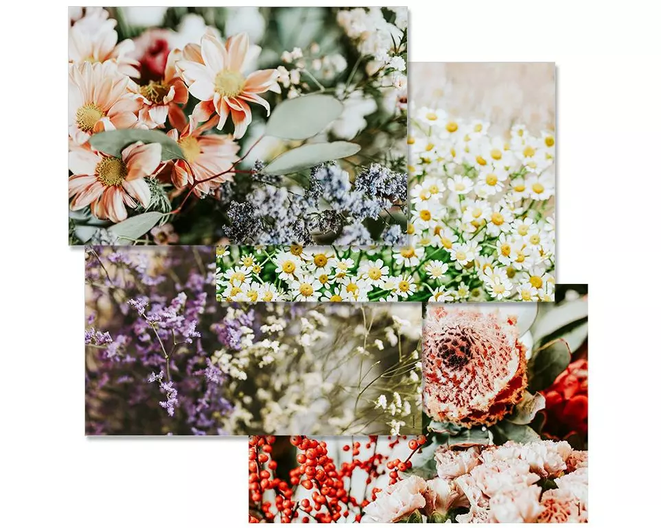 Trendform Tischset Garden poetry 42 x 29.7 cm