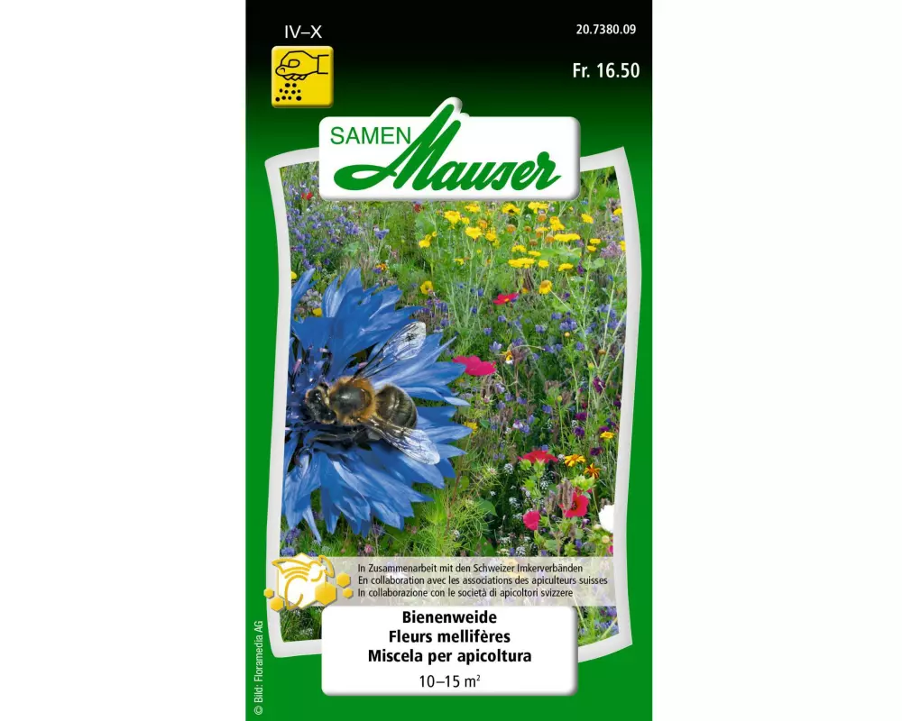 Samen Mauser Bienenweide 30 g (10-15 m²)