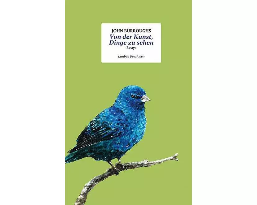 Von der Kunst, Dinge zu sehen