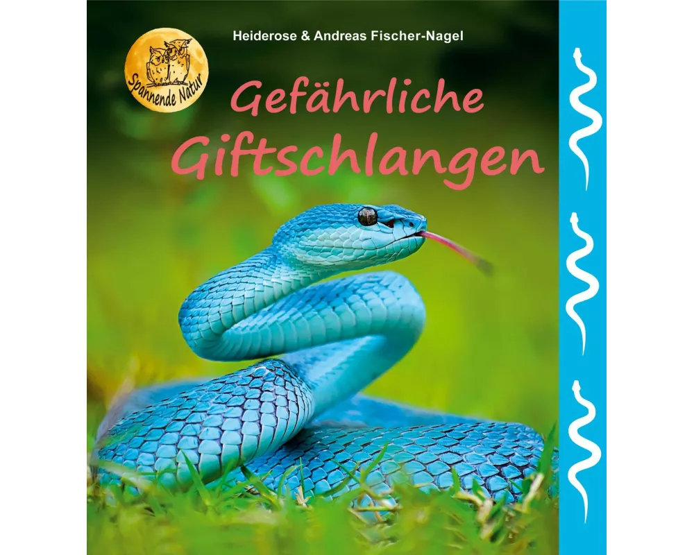 Gefährliche Giftschlangen