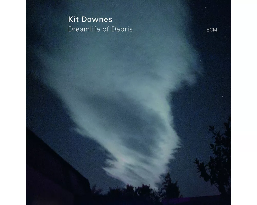 Dreamlife Of Debris