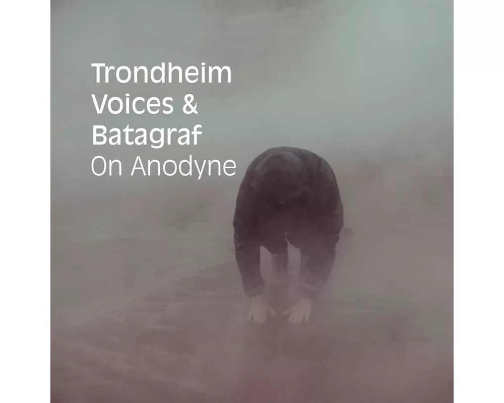 On Anodyne