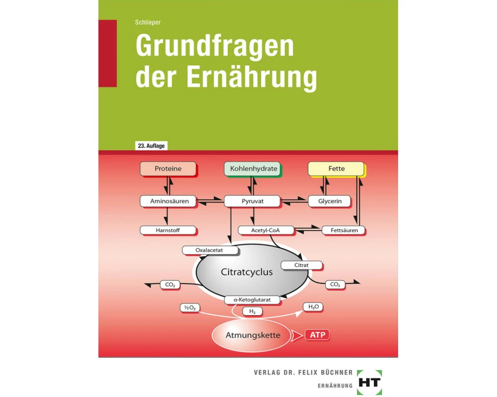 Grundfragen der Ernährung