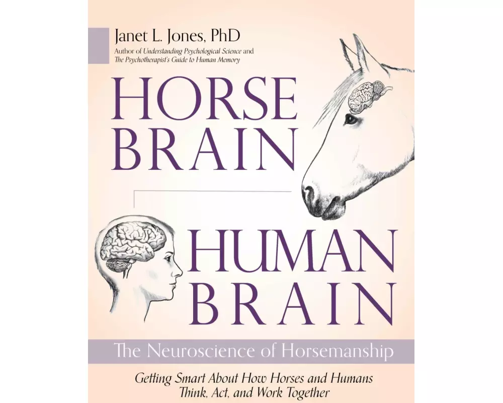 Horse Brain, Human Brain