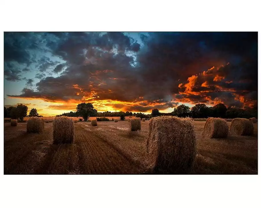 Samsung Videowall Display VM46B-U 46"