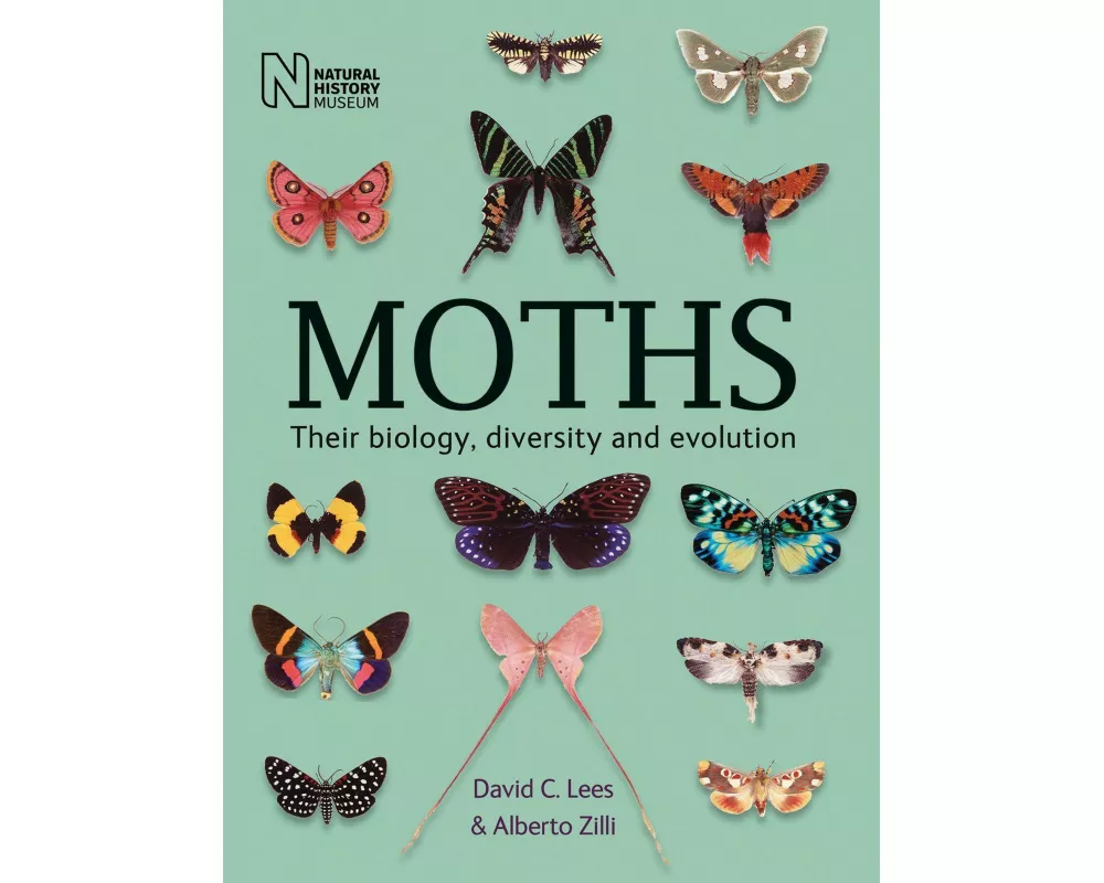 Moths