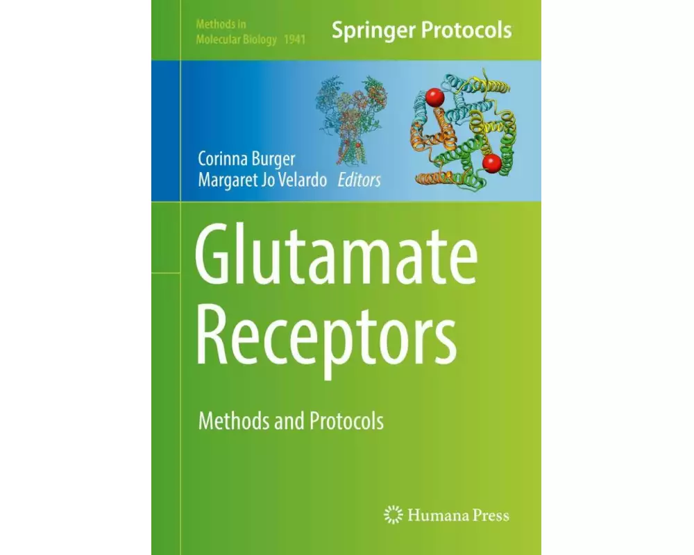 Glutamate Receptors