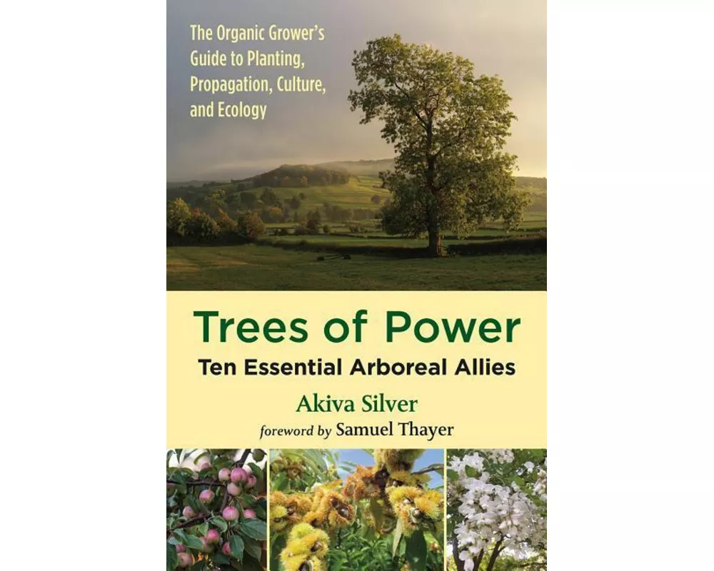 Trees of Power