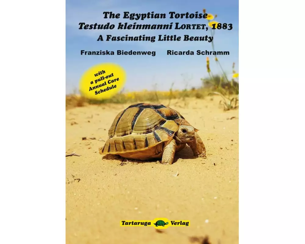 The Egyptian Tortoise, Testudo kleinmanni Lortet, 1883