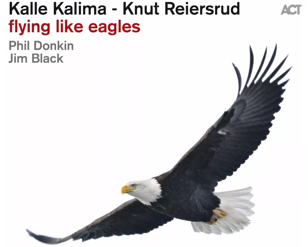 Flying Like Eagles