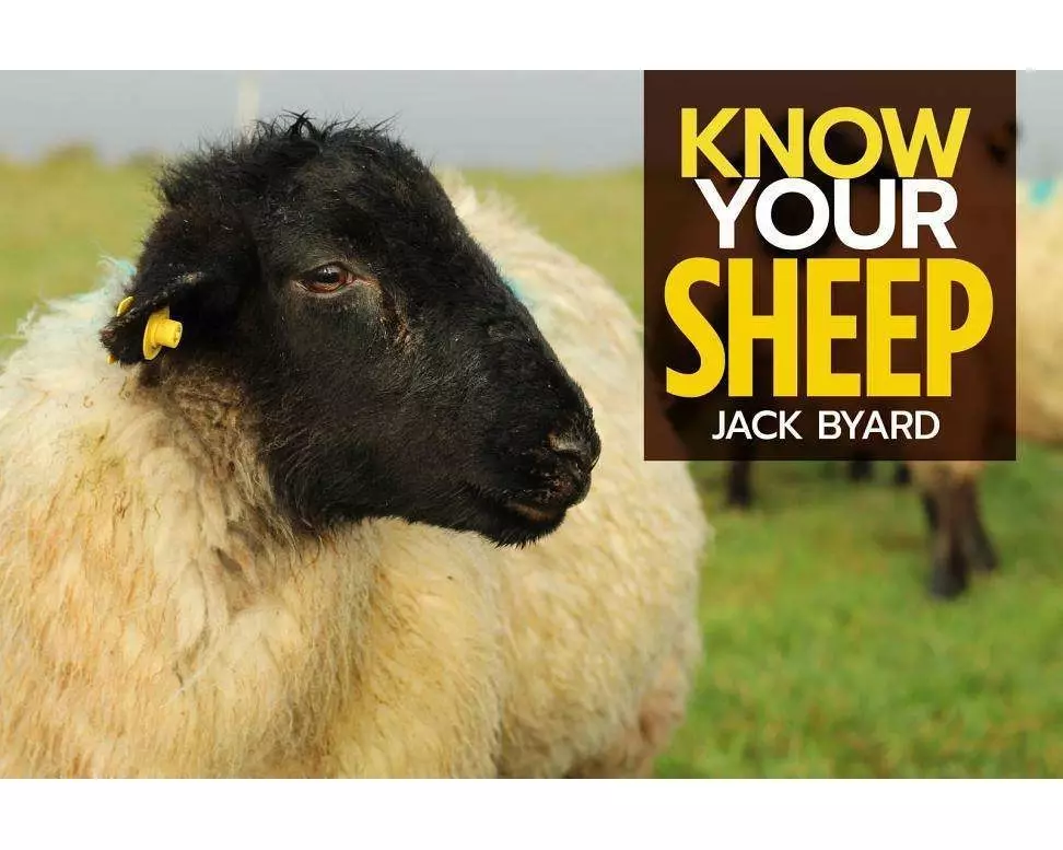 Know Your Sheep