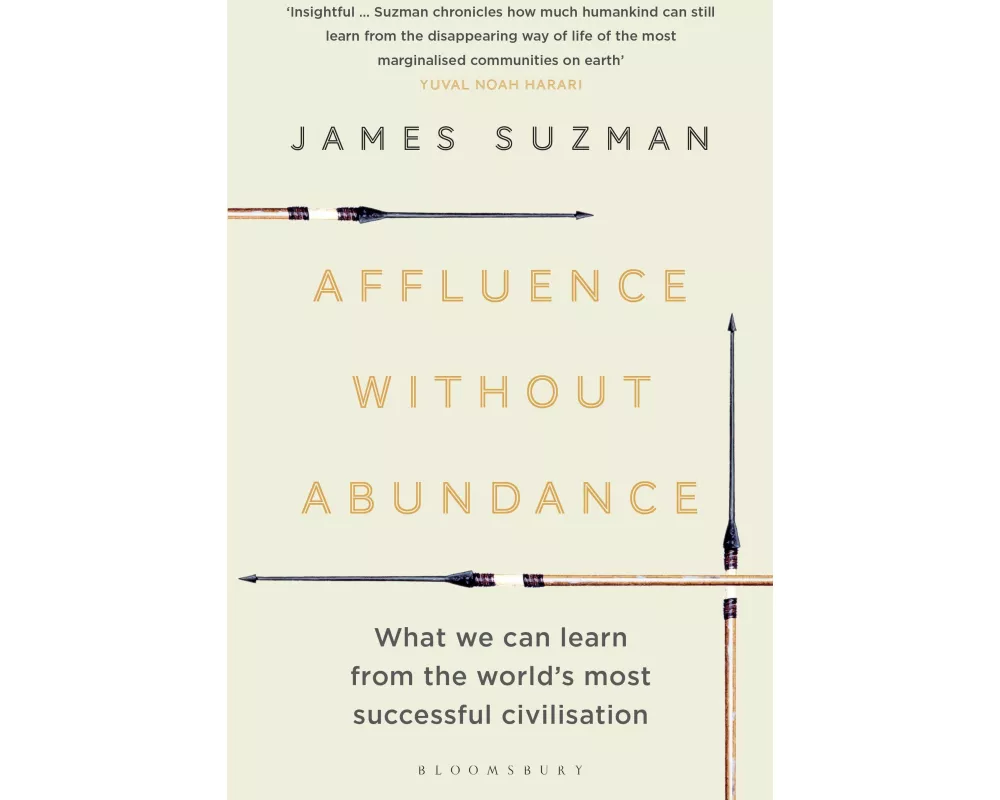 Affluence Without Abundance