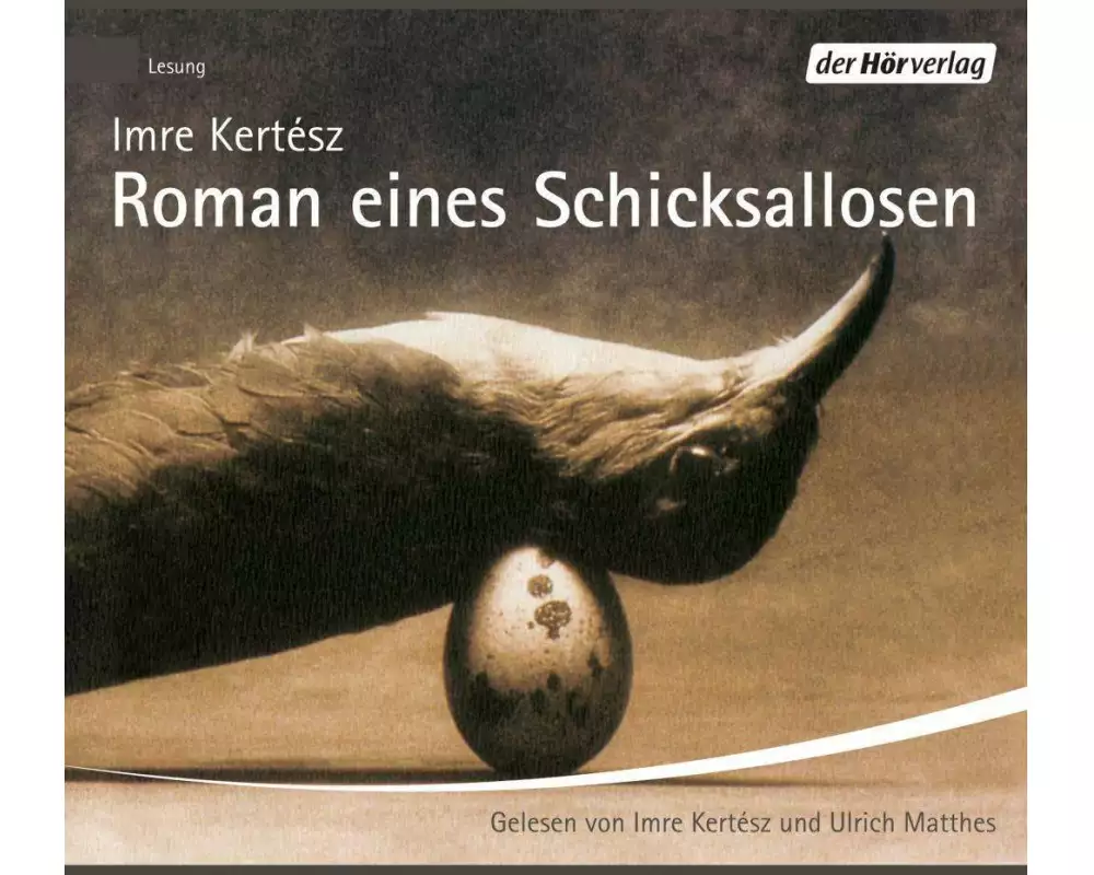 Roman eines Schicksallosen