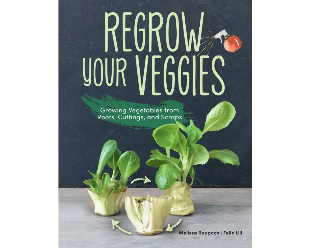 Regrow Your Veggies
