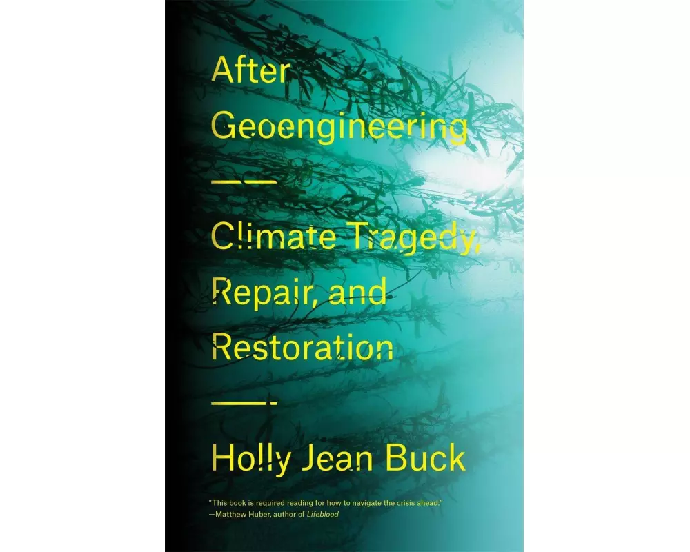 After Geoengineering