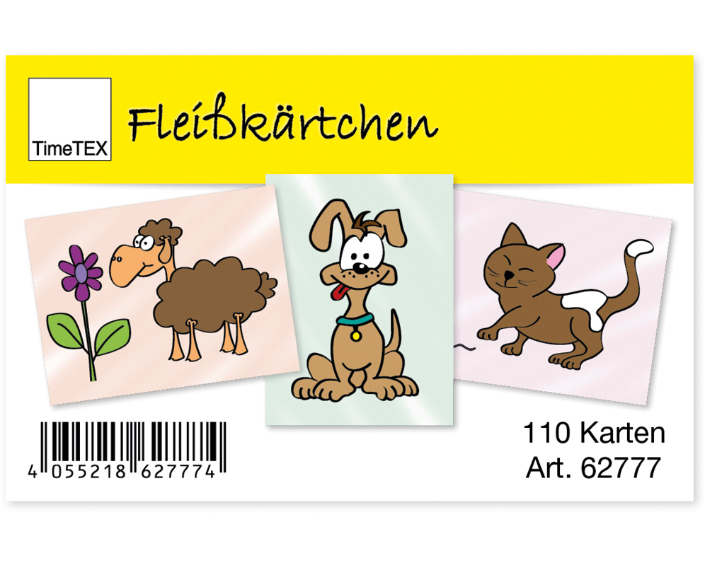 TIMETEX Fleisskärtchen 62777 110 Karten im Etui