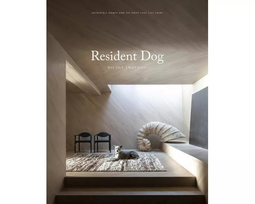 Resident Dog (Volume 2)