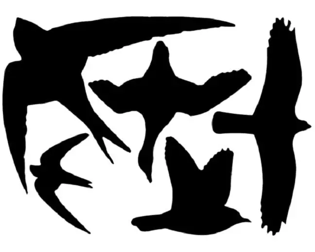 Esschert Design Fensterfolie Vogelsilhouetten 23 x 33 cm