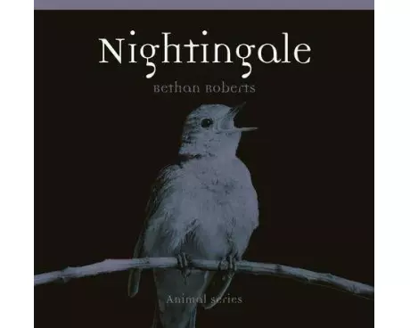 Nightingale