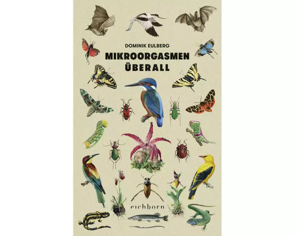 Mikroorgasmen überall