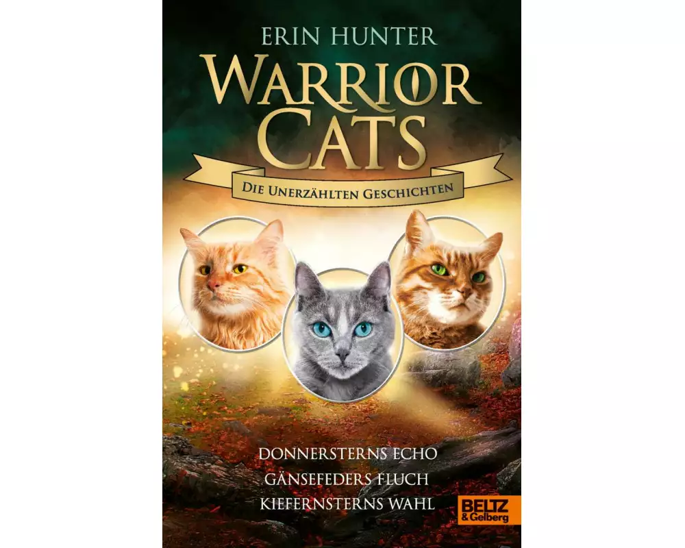 Warrior Cats - Die unerzählten Geschichten